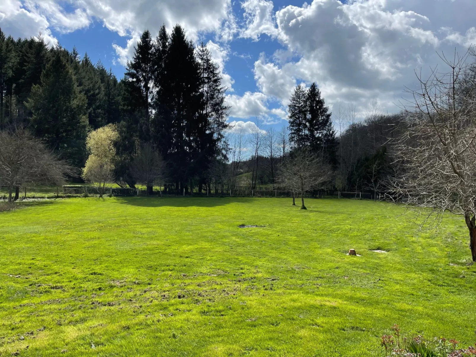 Für 6 Pers. mit eigenem Teich-Inside