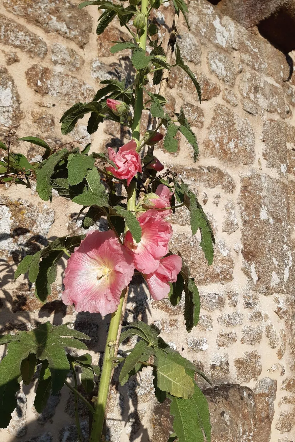 Finca "Motje" mit Aussicht-Draußen