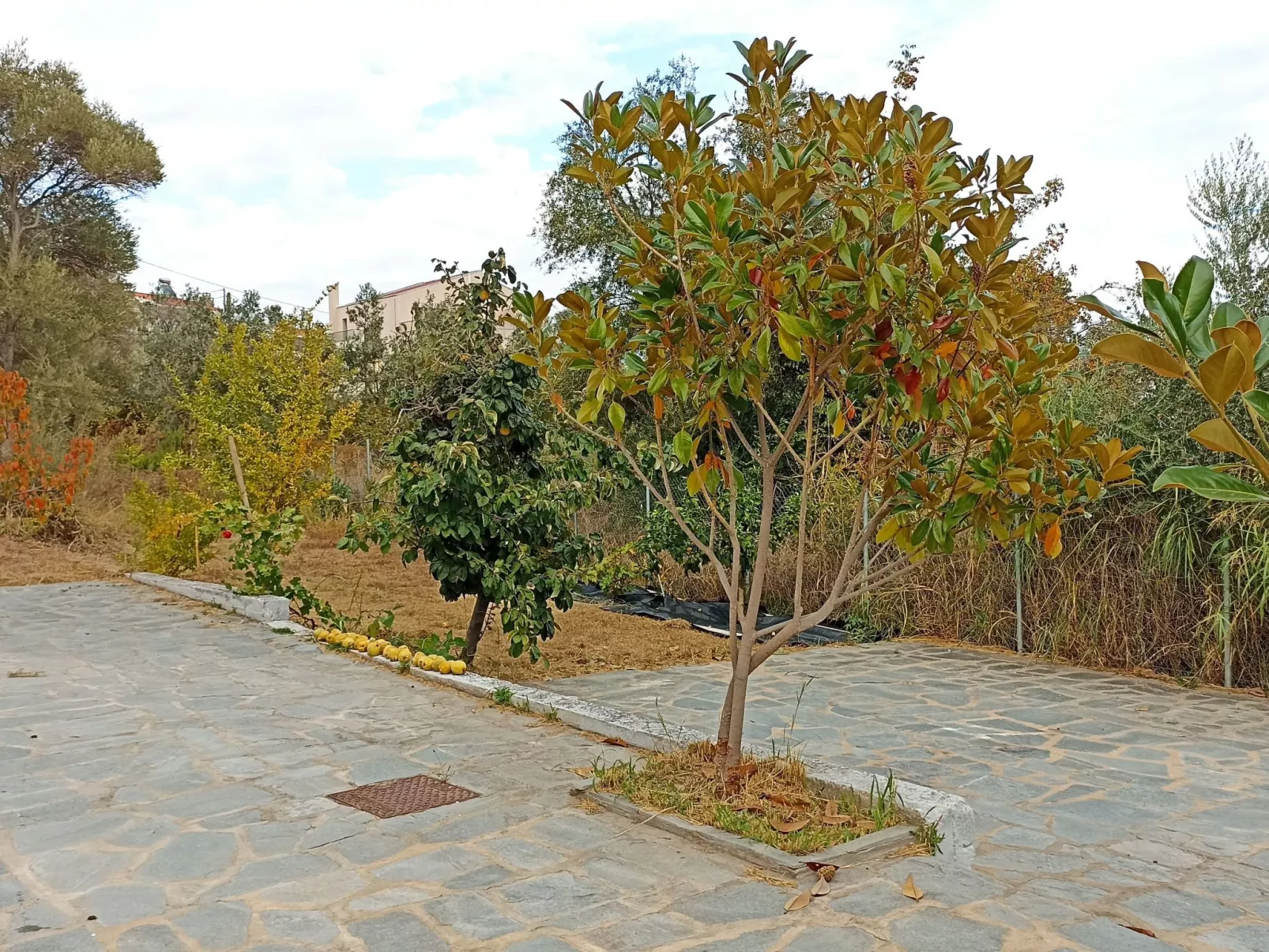 "Villa siesta" in Strandnähe-Outside