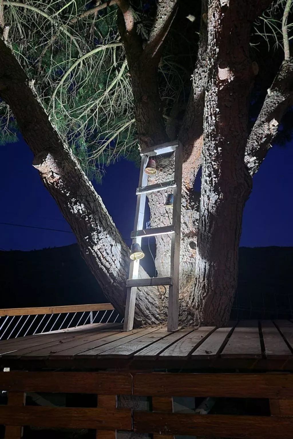 Weißes Haus in Douro Weinberge-Draußen