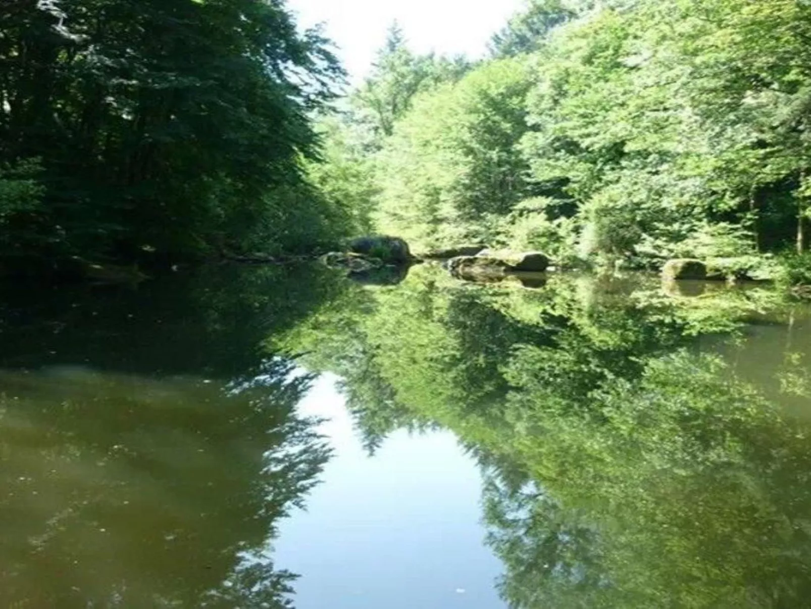 LE HAVRE SAUVAGE-Dehors