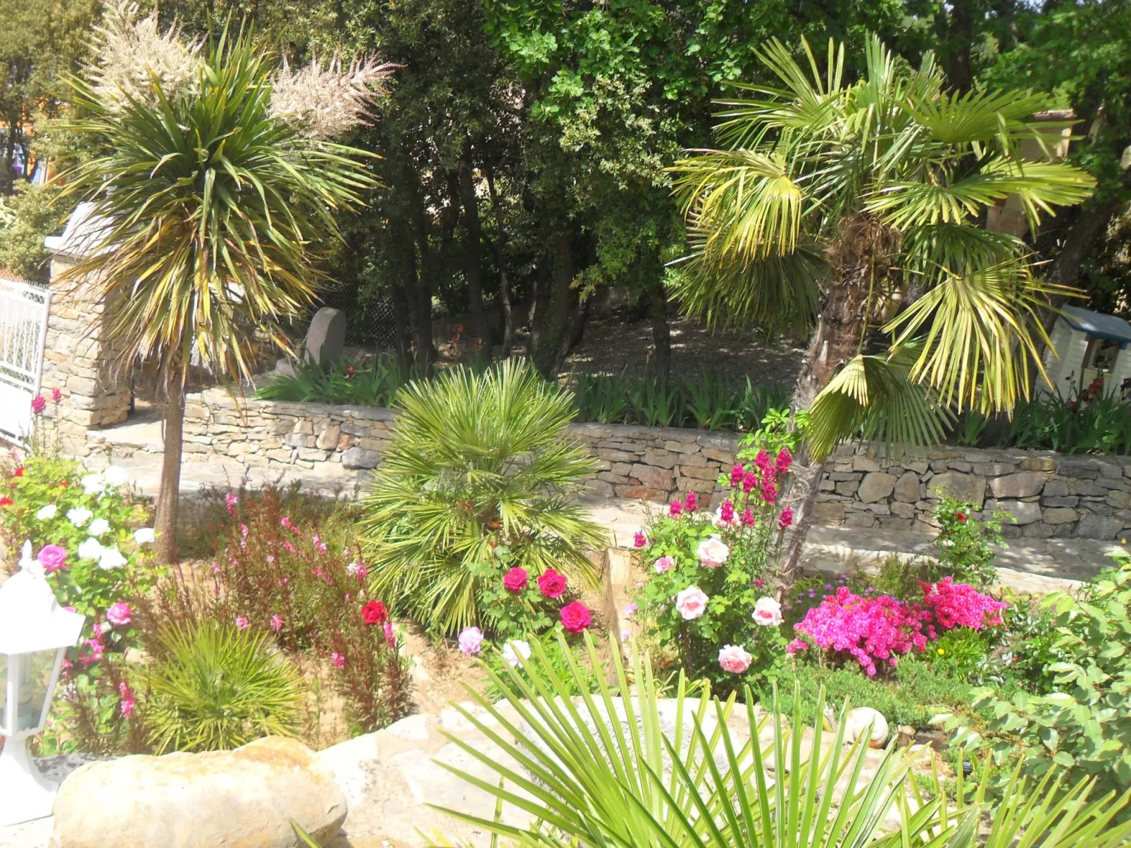 Beheizter Pool ab Mitte April-Image-tags.info