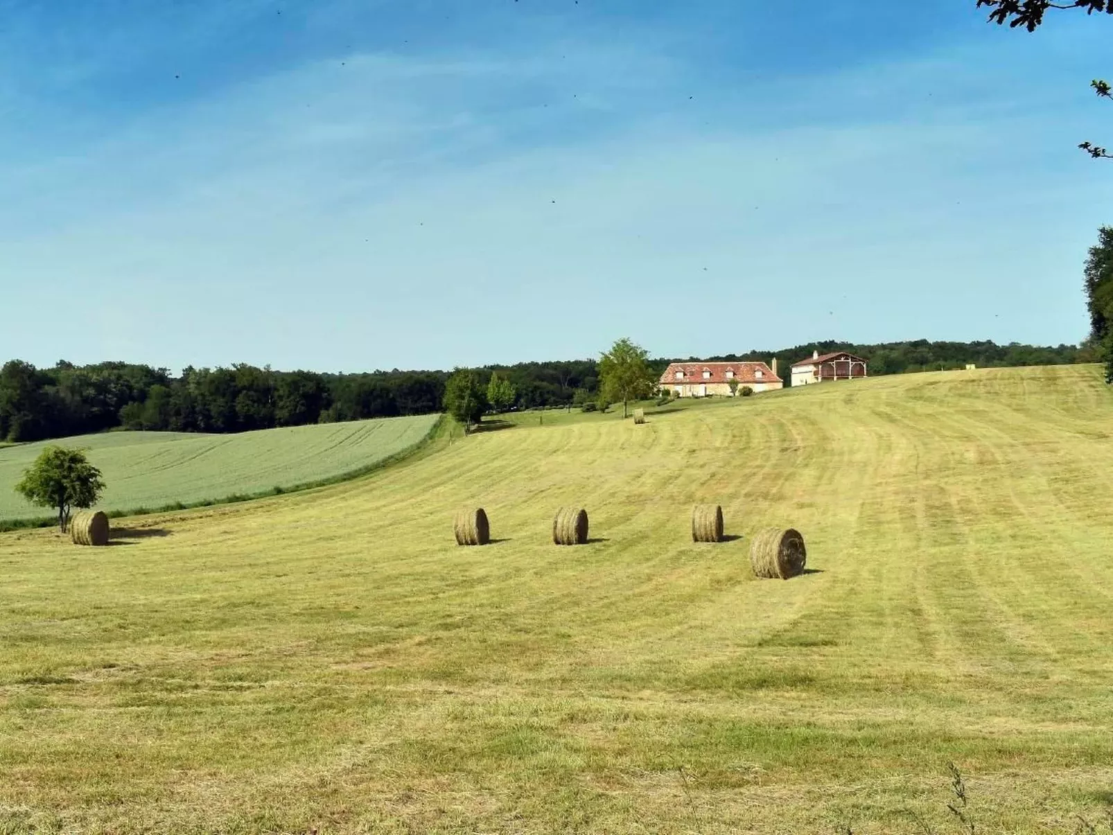 Domäne "Domaine de Ravel"-Draußen