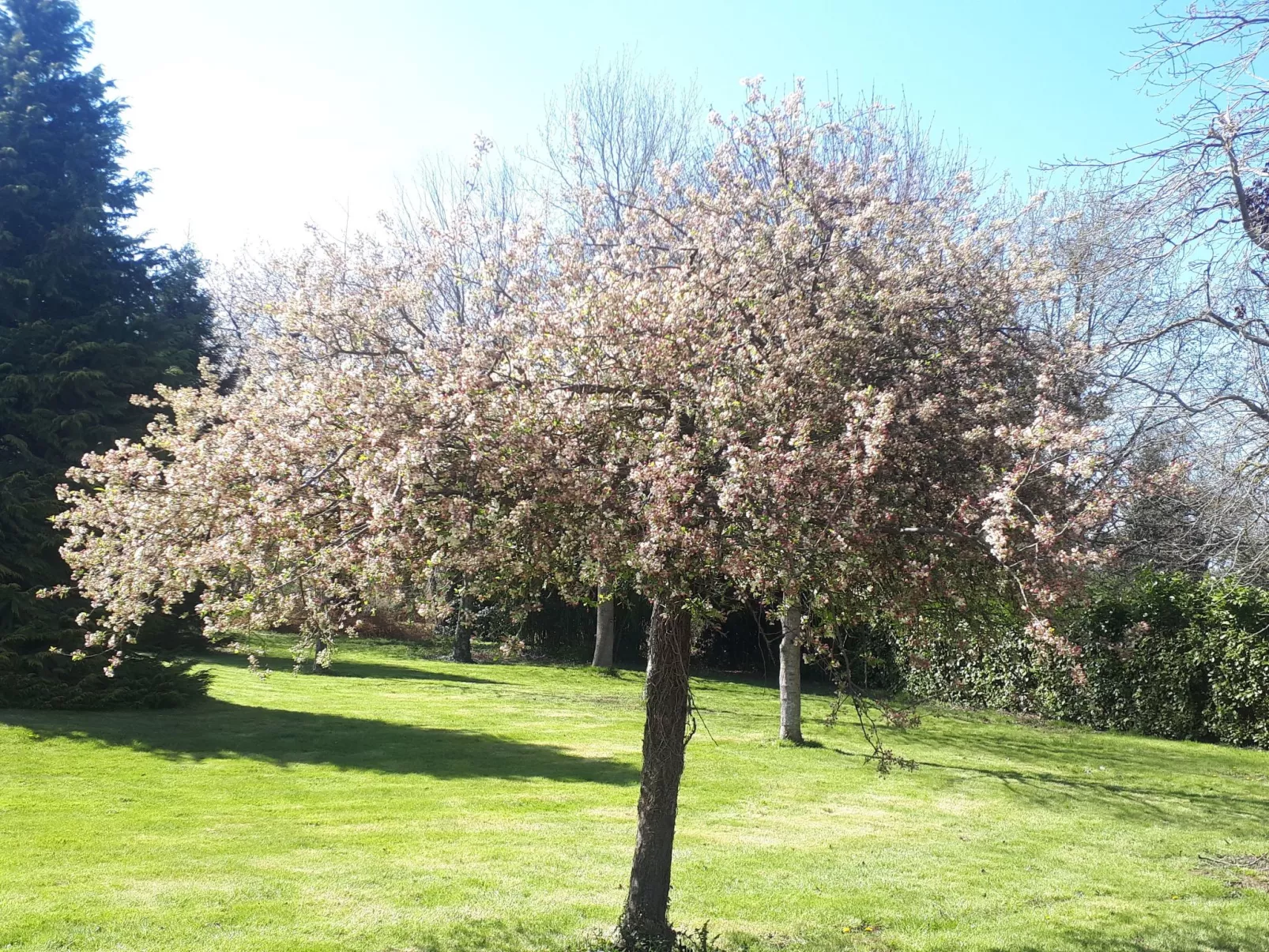 Gite de bon air-Draußen