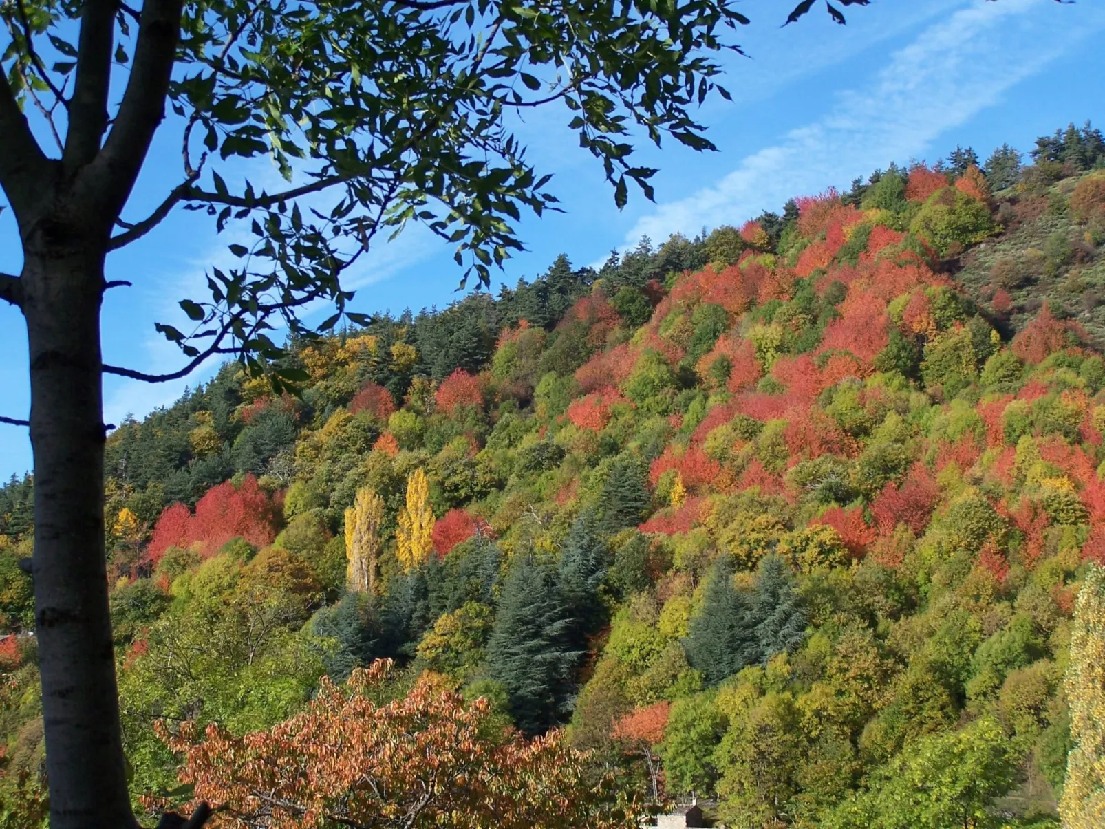 "Les Glycines"-Dehors