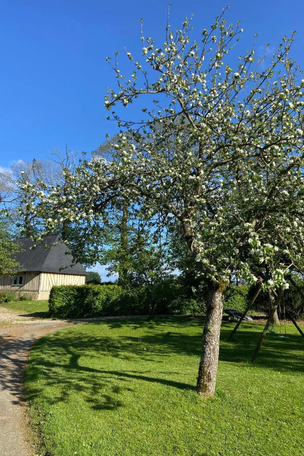 Neues normannisches Ferienhaus mit Charme die Kastanienbäume-Outside