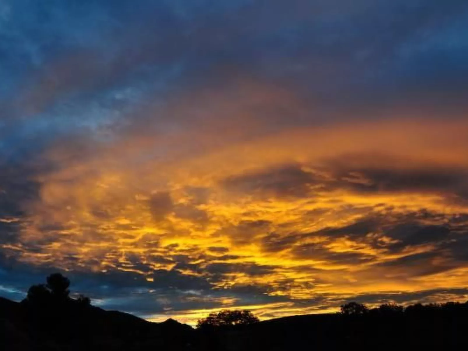 "Haus der Olivenbäume"-Image-tags.info