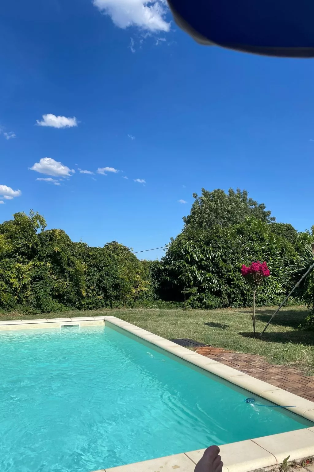 Pujols Petite-Outside