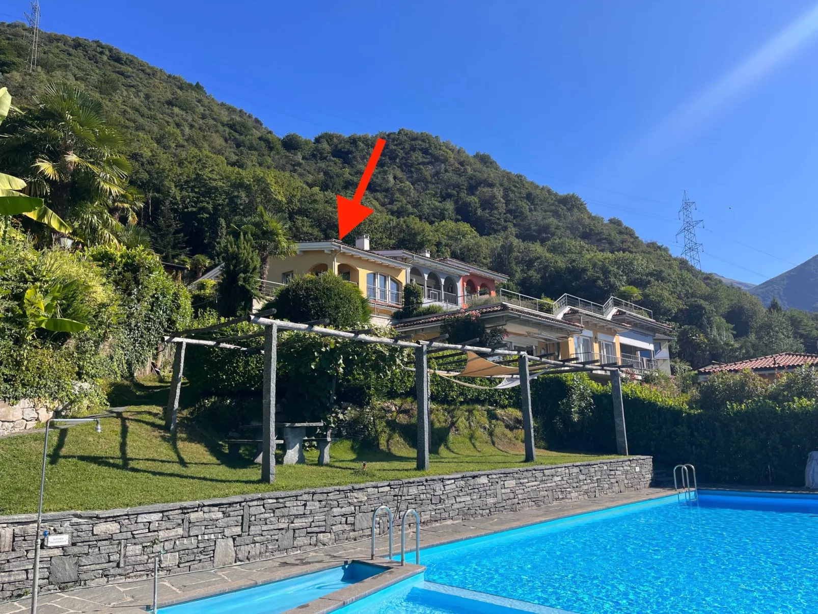 La Camelina - Contra-Image-tags.info