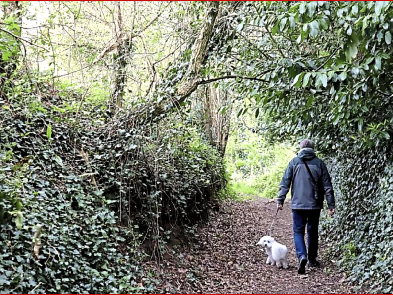 Gîte de Kerberso in Pléhédel-Draußen