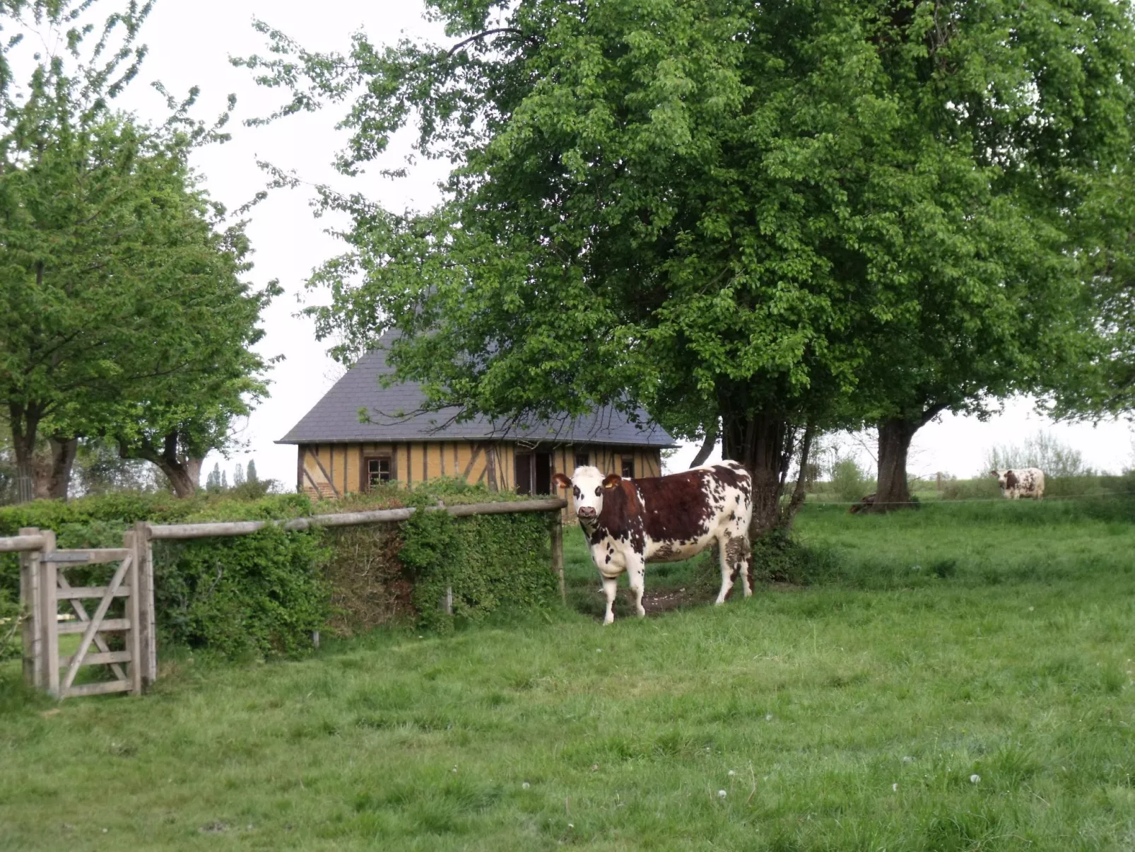 "La Petite Cauvinière"-Draußen