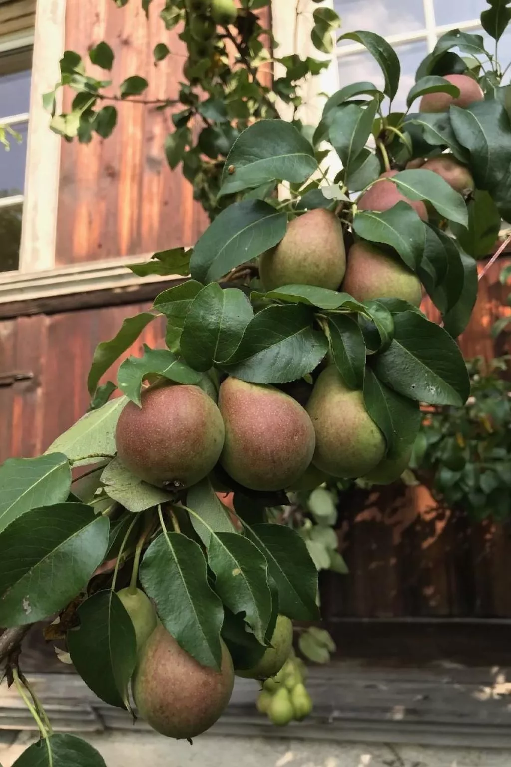 Altes Schulhaus-Outside