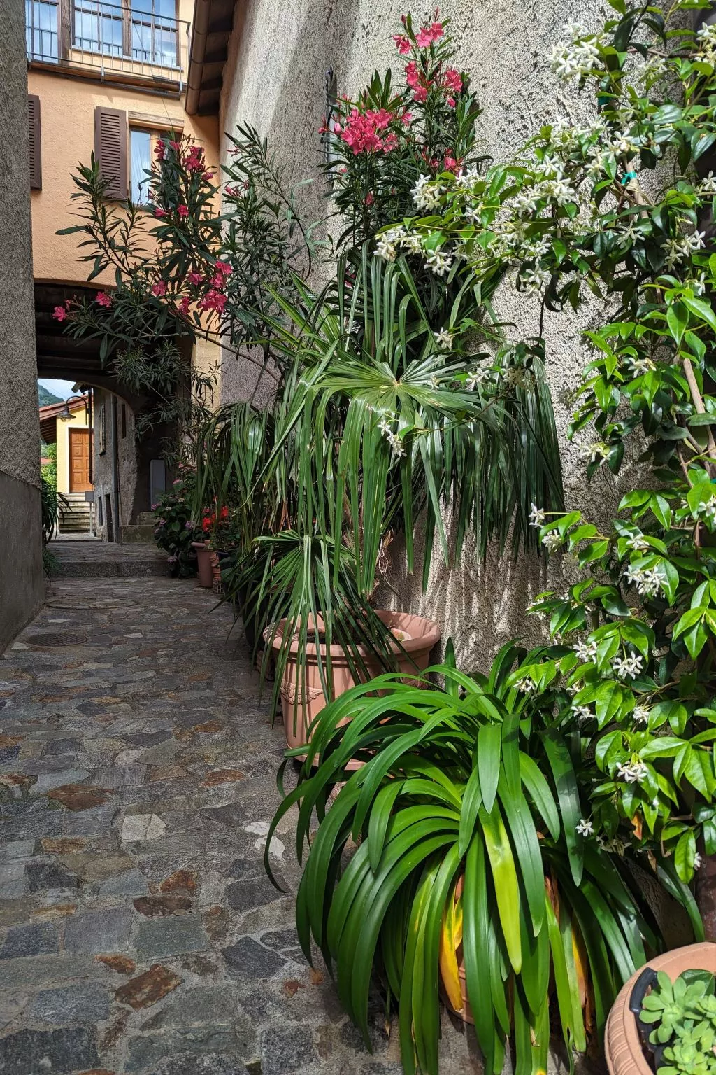 Casa al Vento-Drinnen