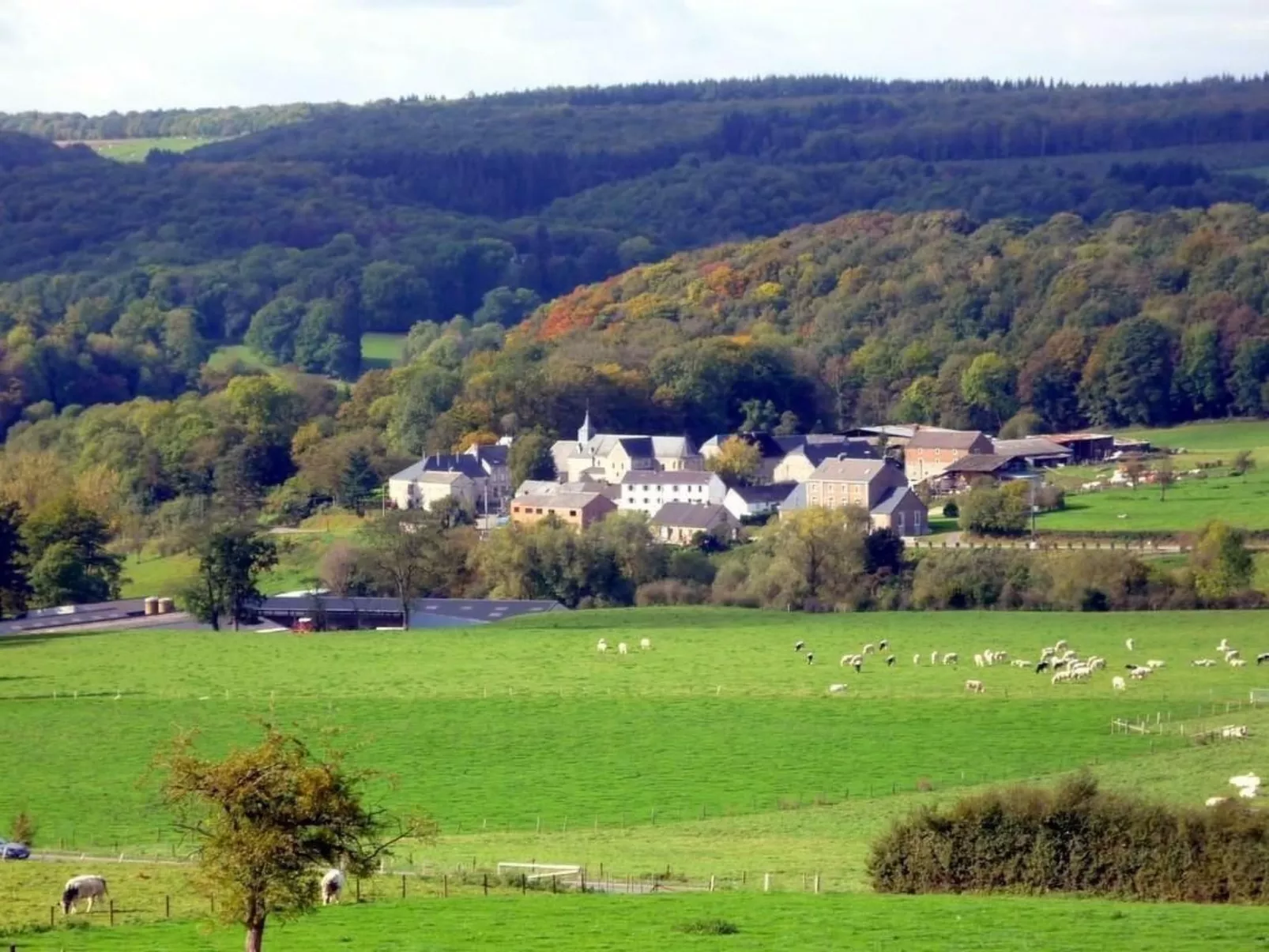 Ardennen Ferienhaus 5 Zimmer 5 Bad 14 Pers Zugang Chaisards-Draußen