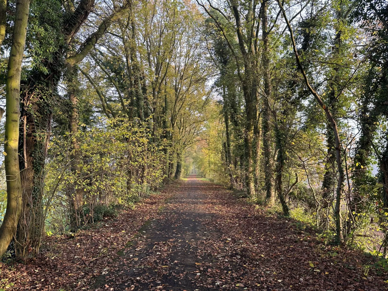 't Coureurke - Outside