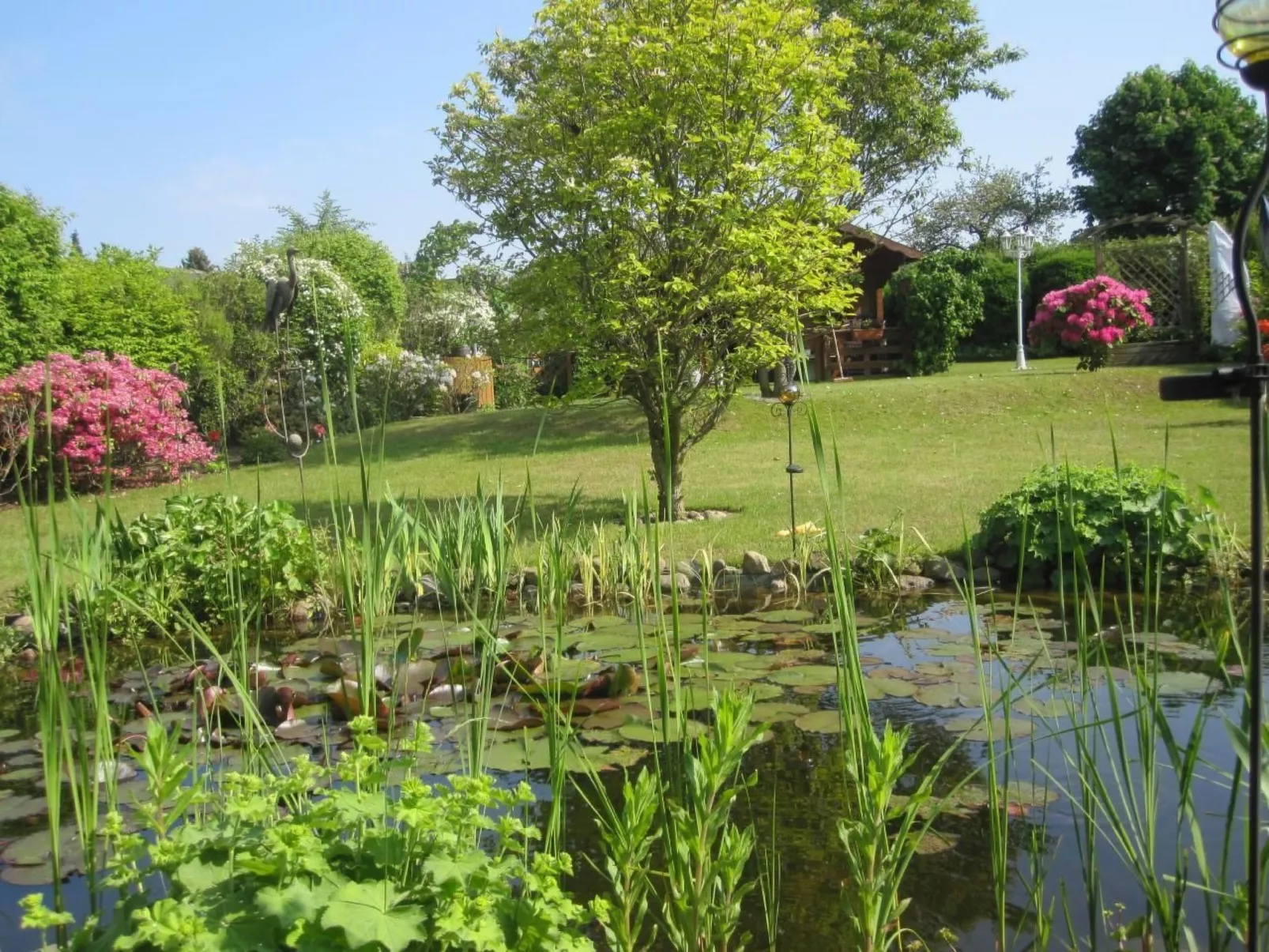 Landhaus am See-Dehors