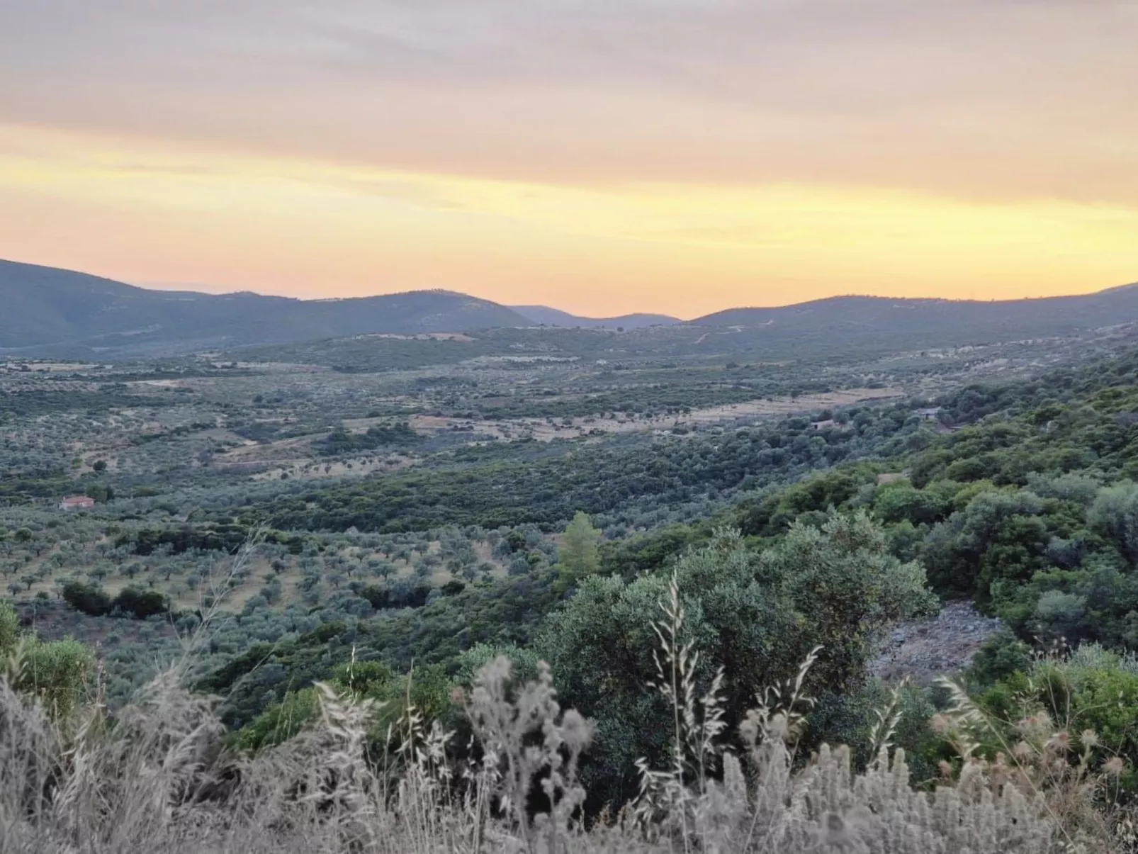 "Villa Newlands" - Pool, Meer und Inseln-Outside