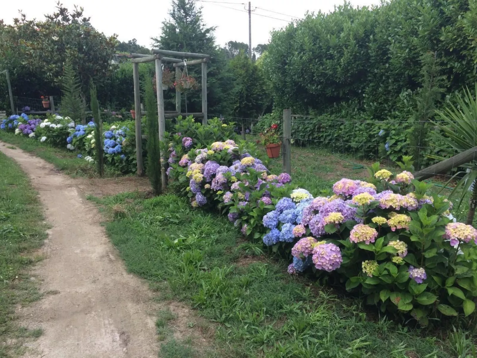 Mit Blick auf das Wasser-Dehors