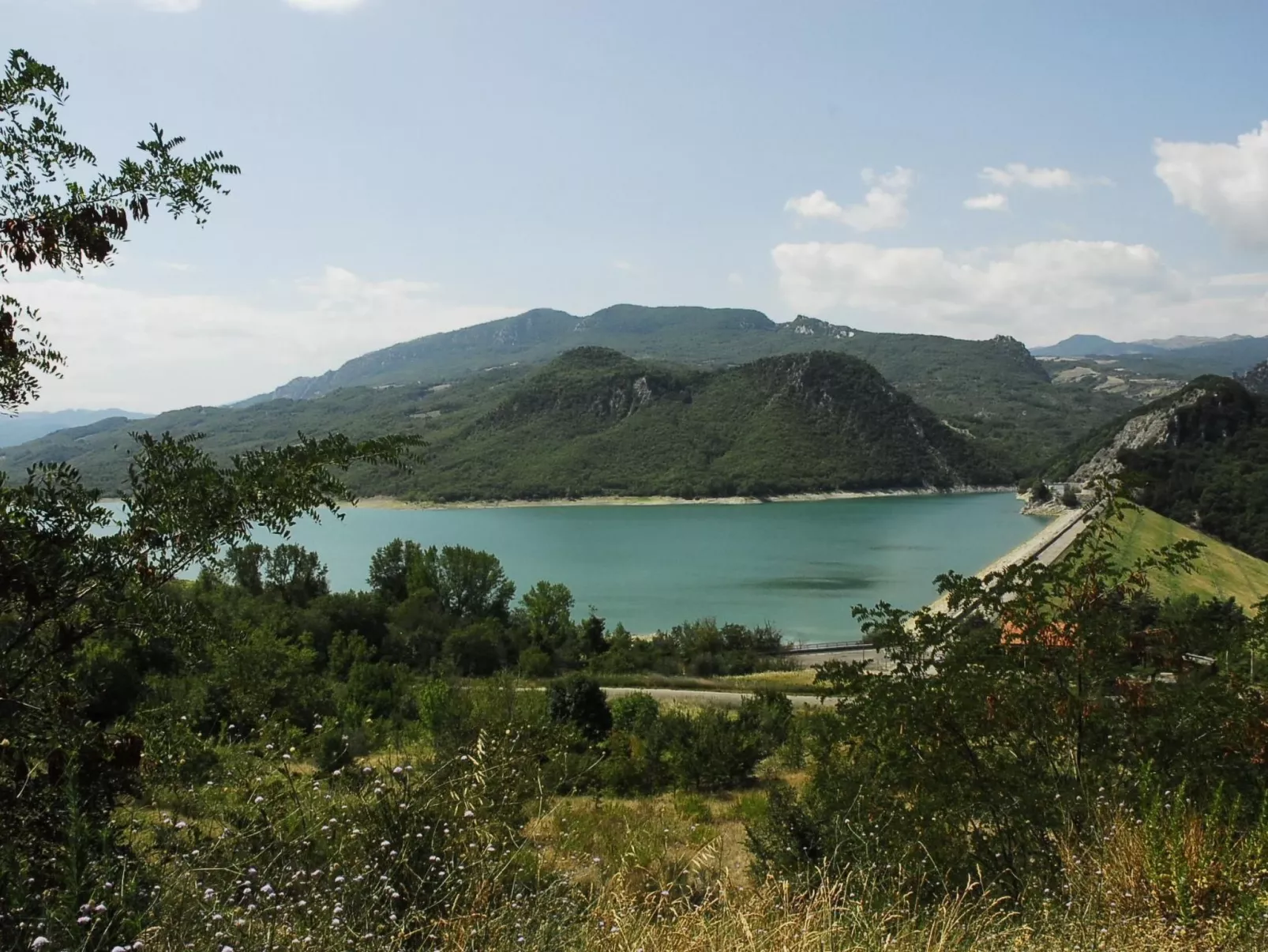 Das Maulbeerbaum-Apartment-Outside