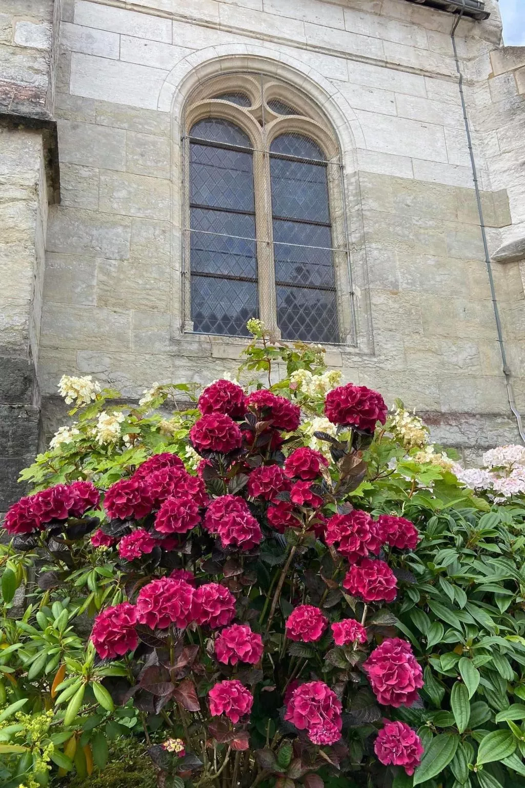 Charmante normannische Ferienwohnung les chataigniers 3 Zimmer-Outside