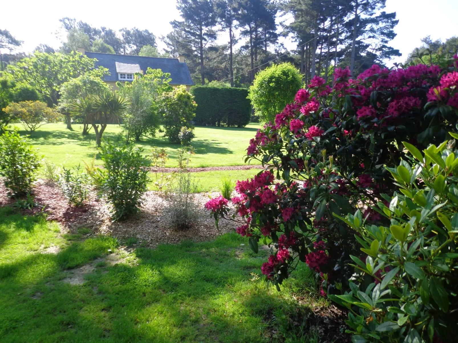 Chalet "gite du bois d'amour" (Hütte des Liebesh-Outside