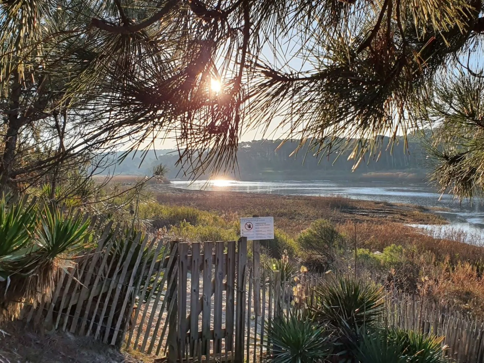 Villa Cocoon Contis-plage 1 chambre-Dehors