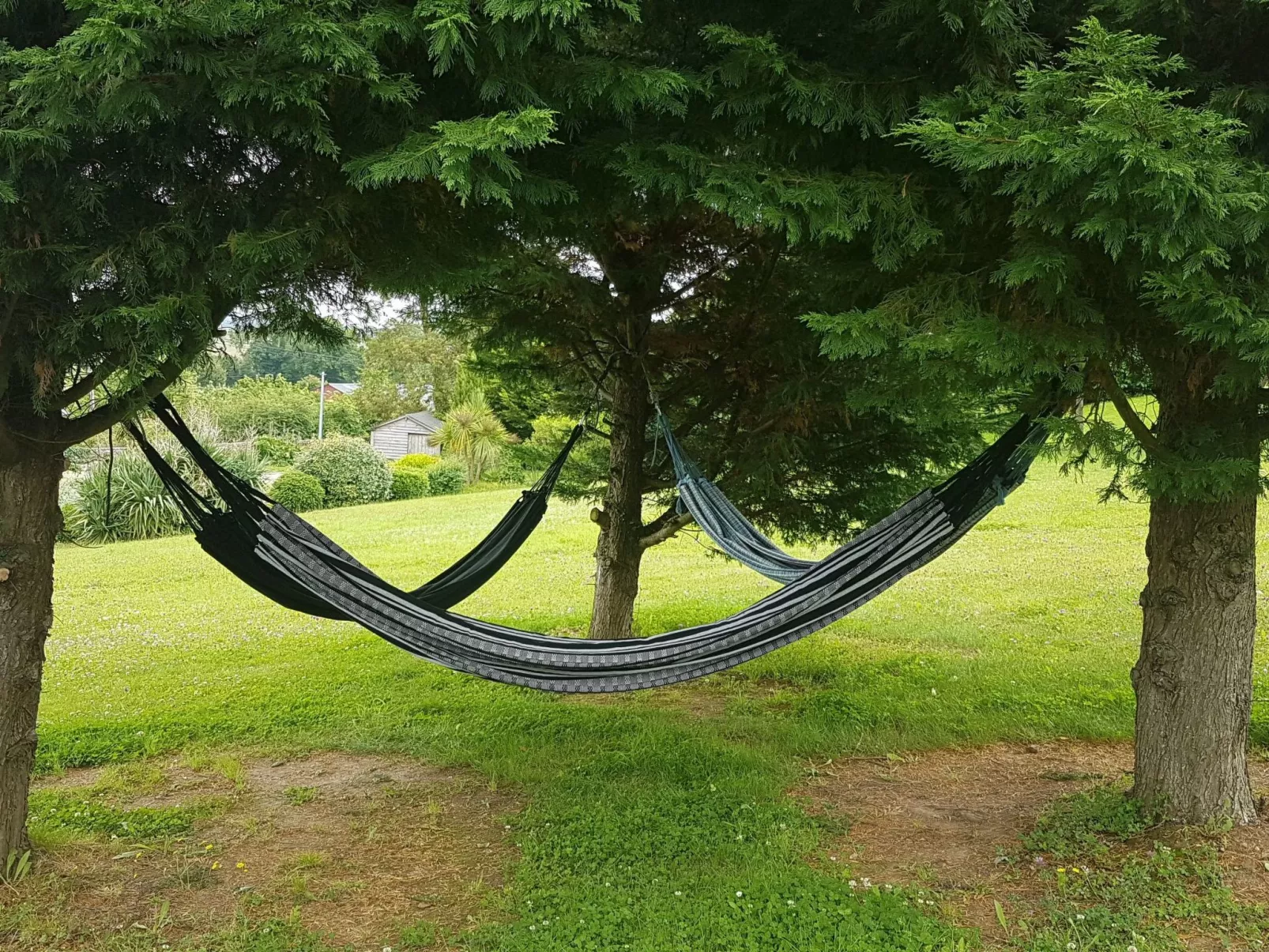 Le domaine des roseraies, gîte les roseraies-Outside