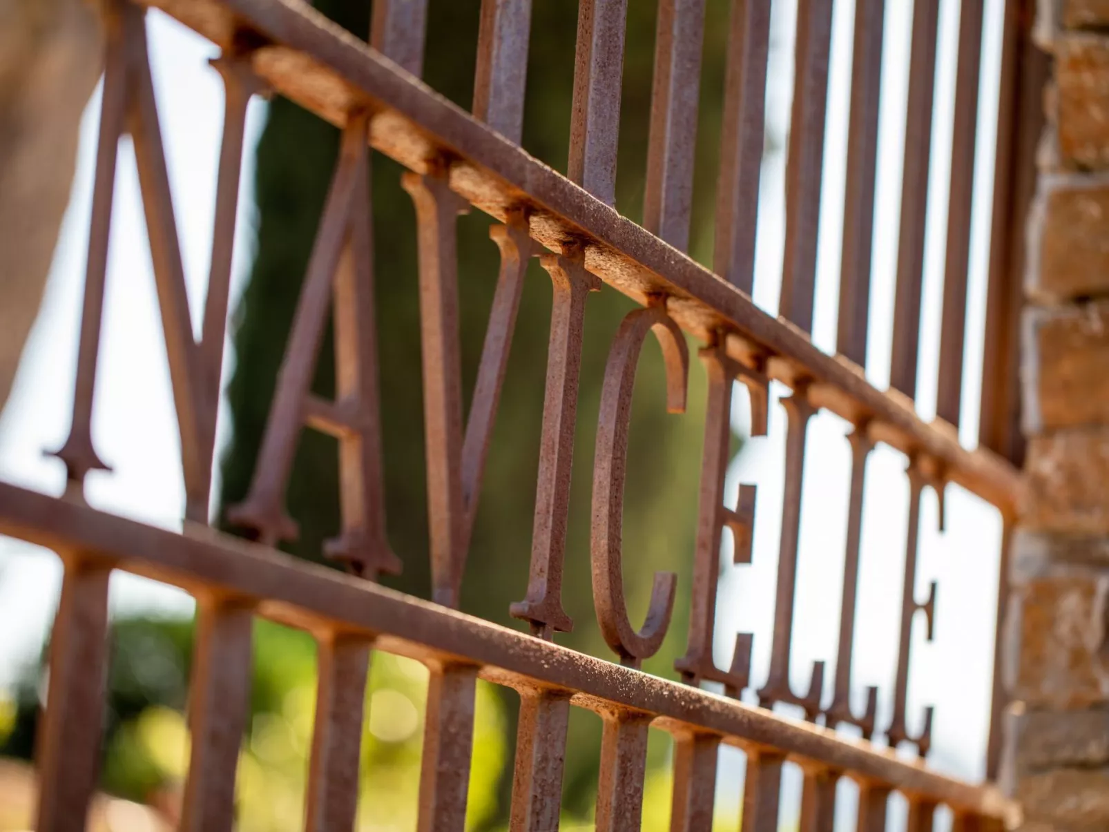 Im Herzen der Weinberge, schattige Terrasse umgeben von Grün, Pool - Draußen
