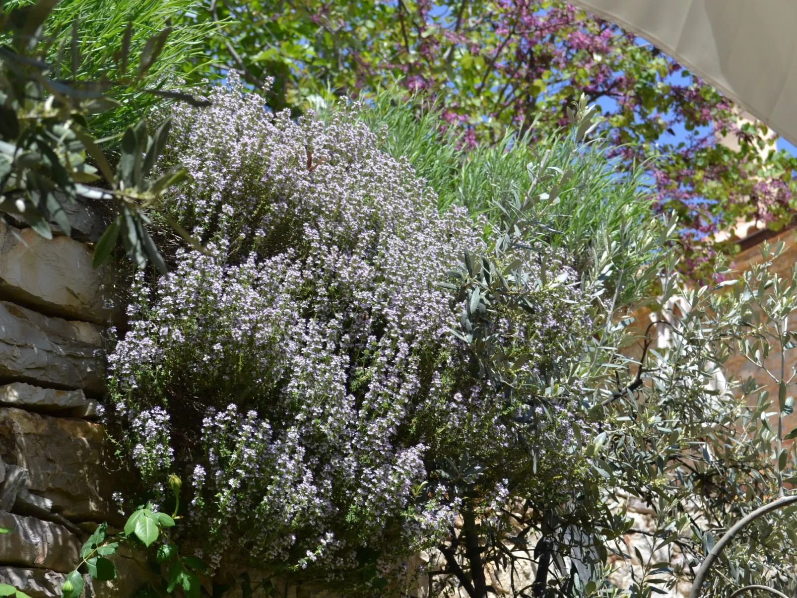 "Stone Retreat"-Dehors