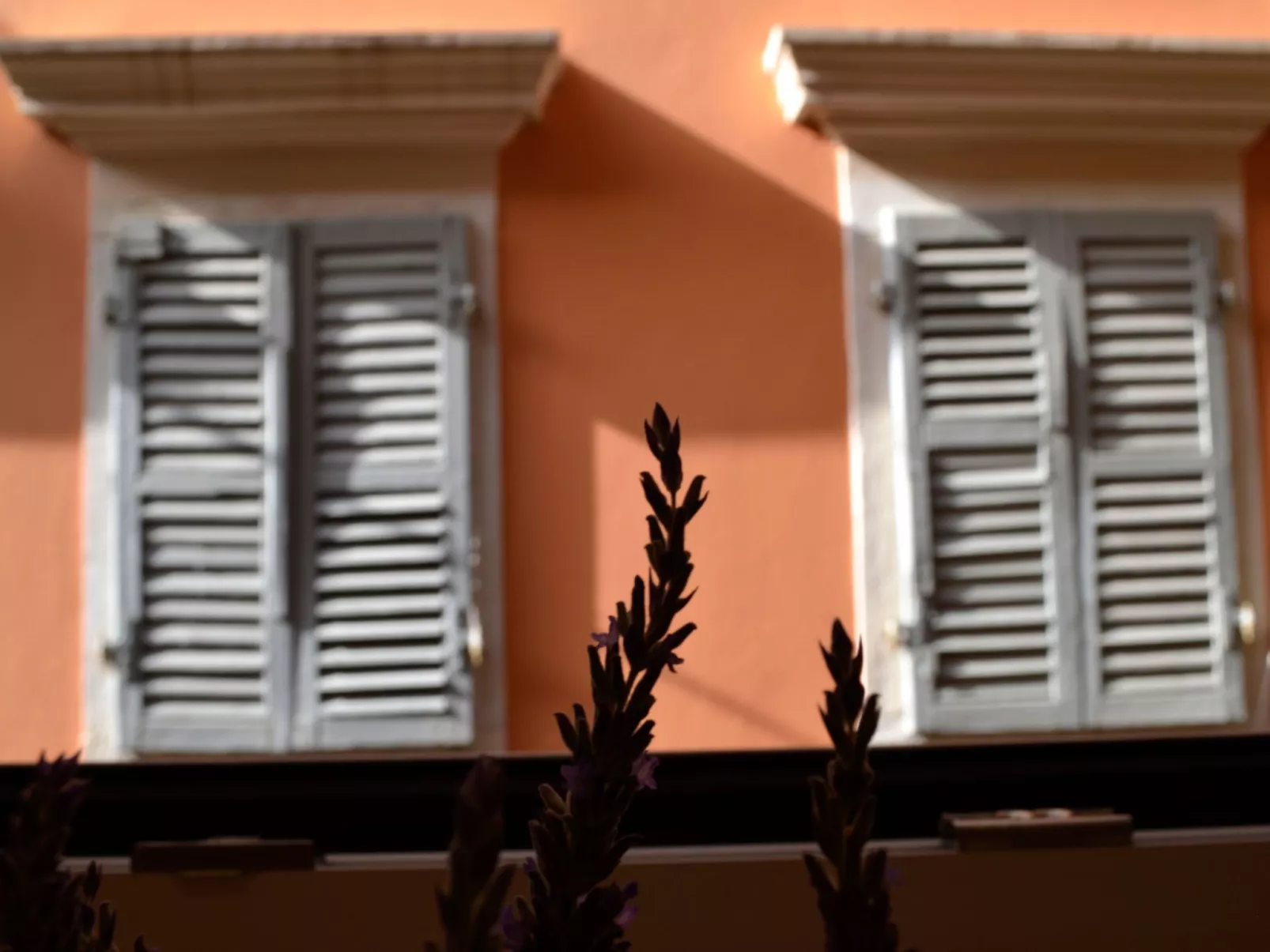 Palazzino Leone - Korfu Altstadt Deluxe Wohnung-Dehors