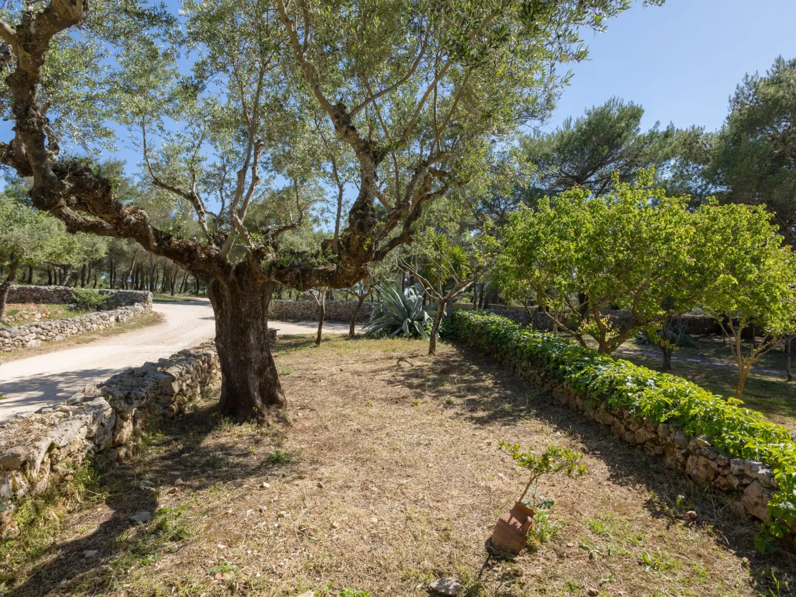 Villa Ariadne mit privatem Pool-Draußen