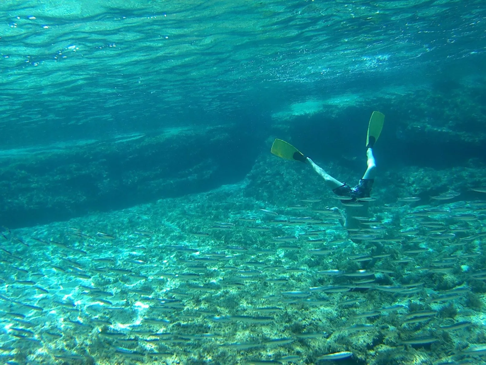 Luxuriöse, ruhige Wohnung direkt am Meer - Privatstrand-Image-tags.info