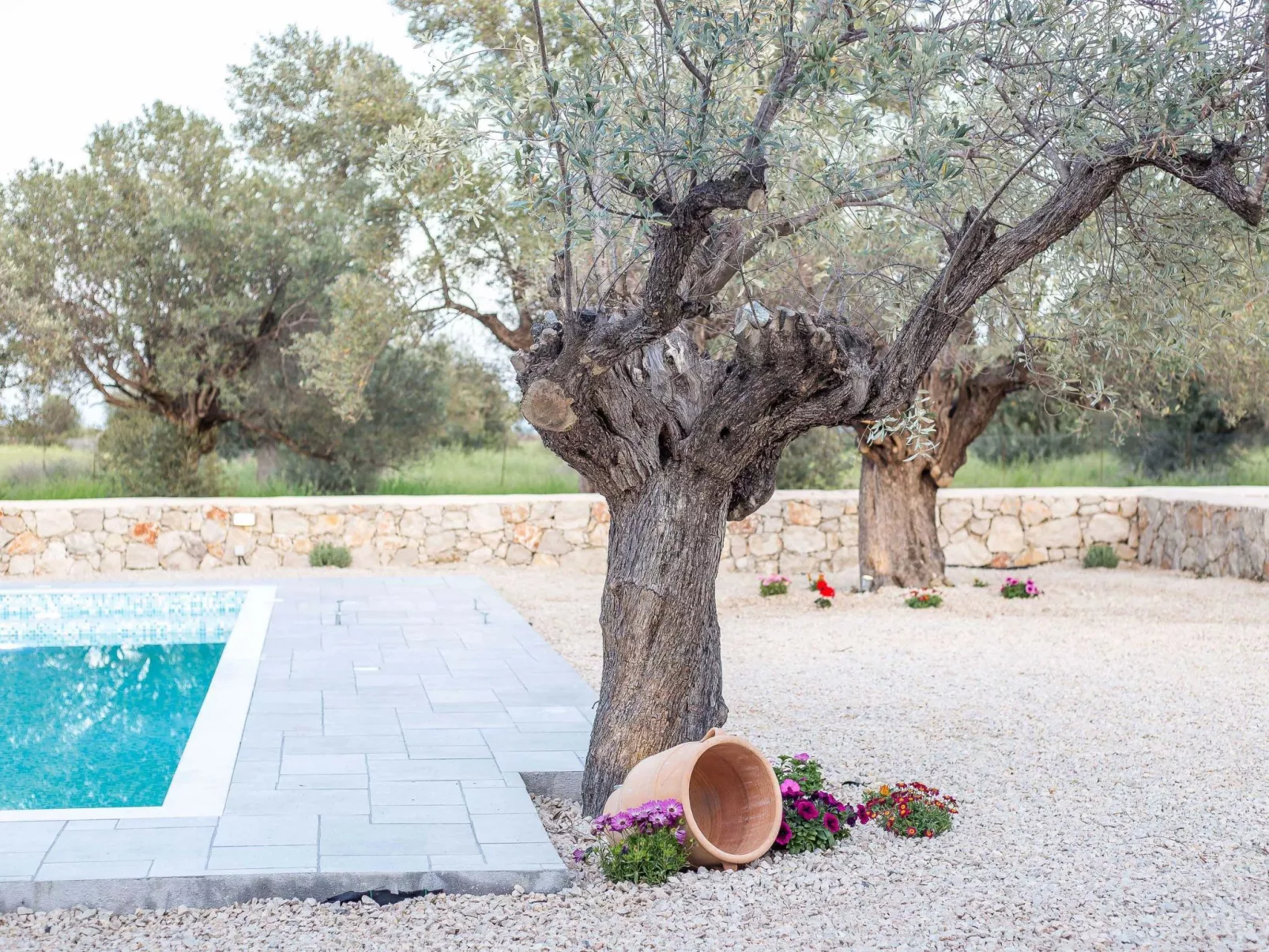 Kalathos Traum - Aspro Traum-Dehors