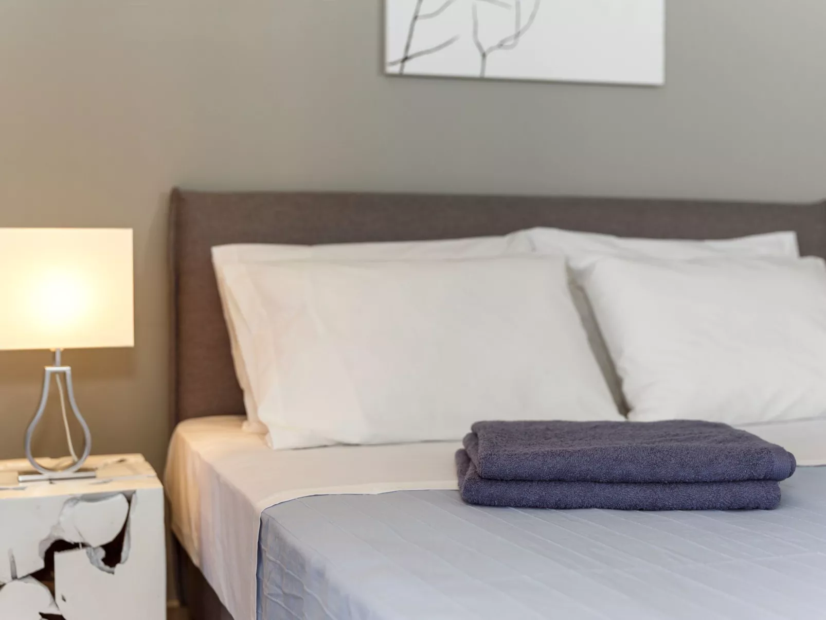 Villa Kleovoulini-Dedans