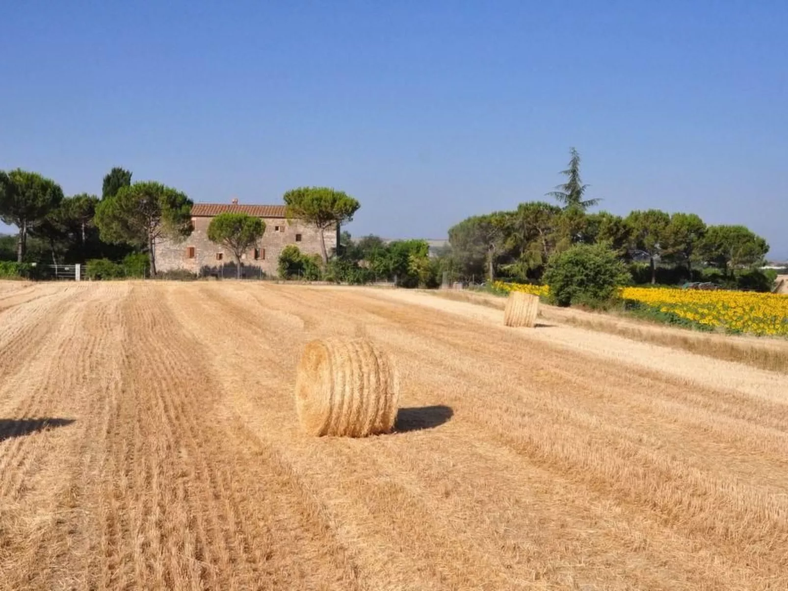Molinello gelso' Wohnung mit Schwimmbad-Outside