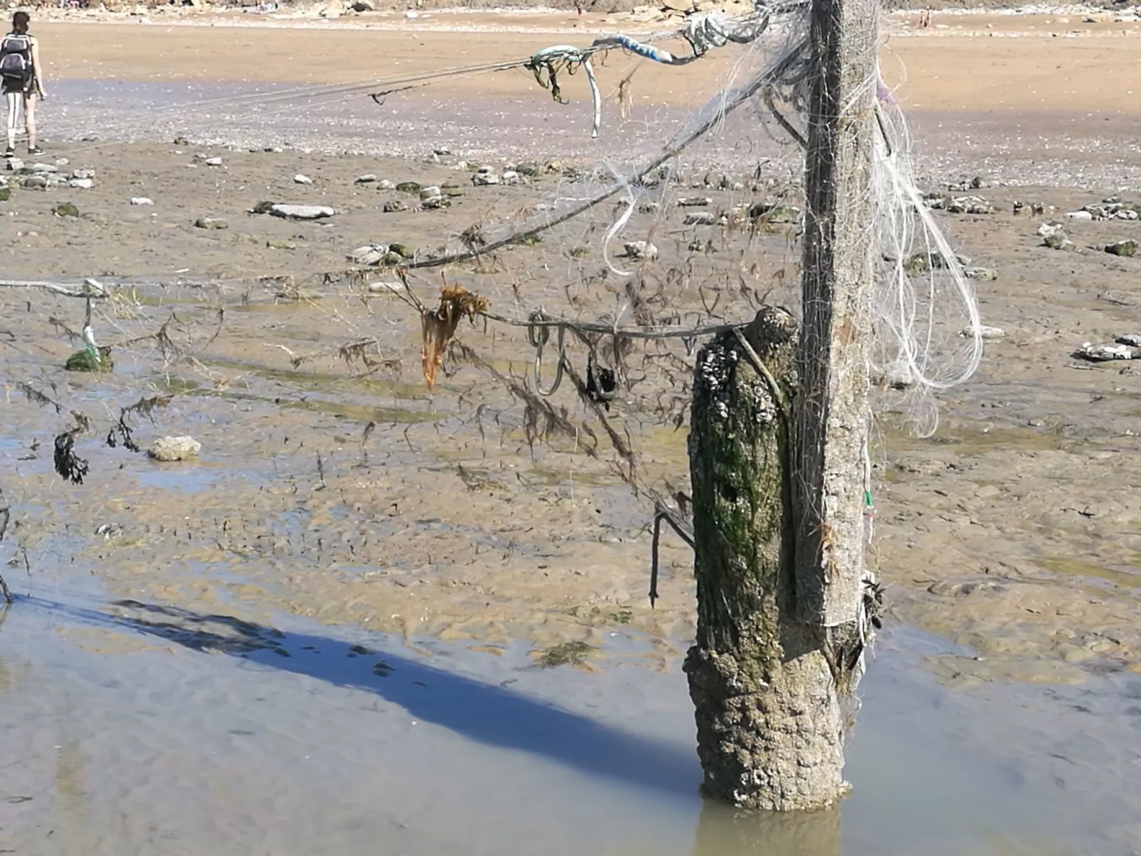 Unterkunft 2 escapade Normande-Outside