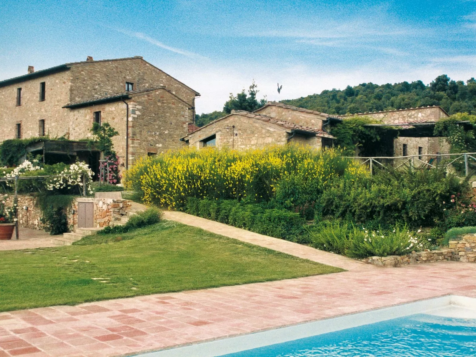 Robin Mascie-Draußen