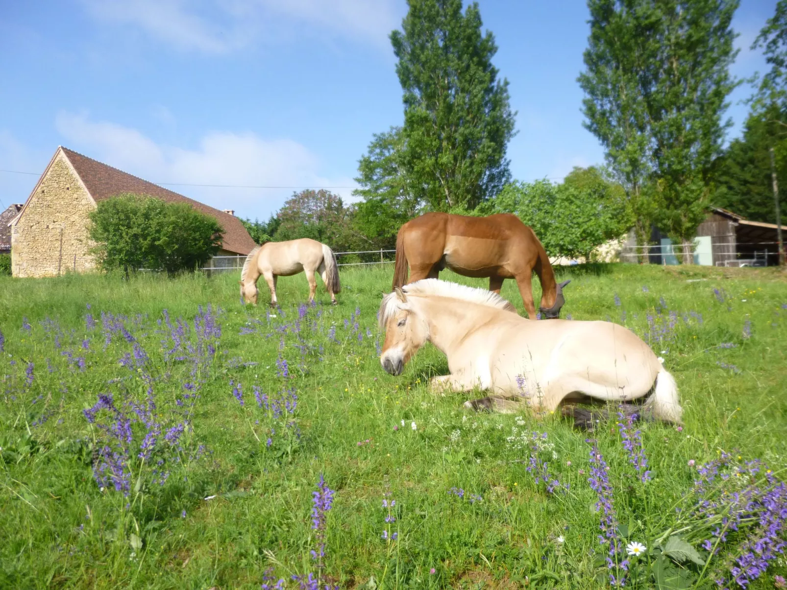 Komfort, Ruhe, privater Pool, EV-Ladestation-Dehors