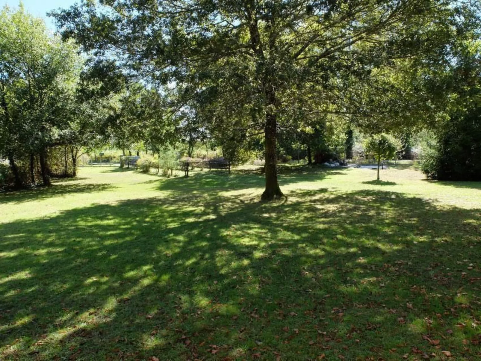 Gemütliches Ferienhäuschen im Grünen mit Terrasse-Draußen