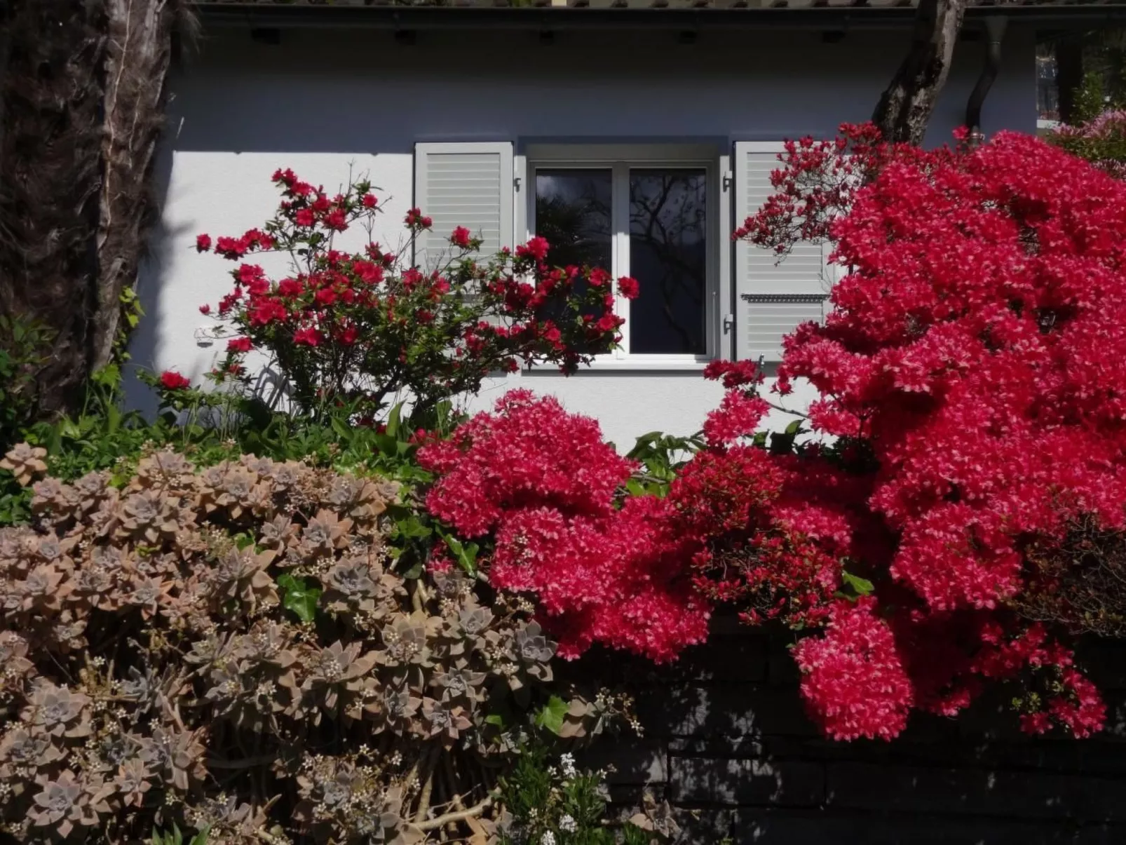 Ökohaus A, Schwimmbad, Garten und Ruhe-Draußen