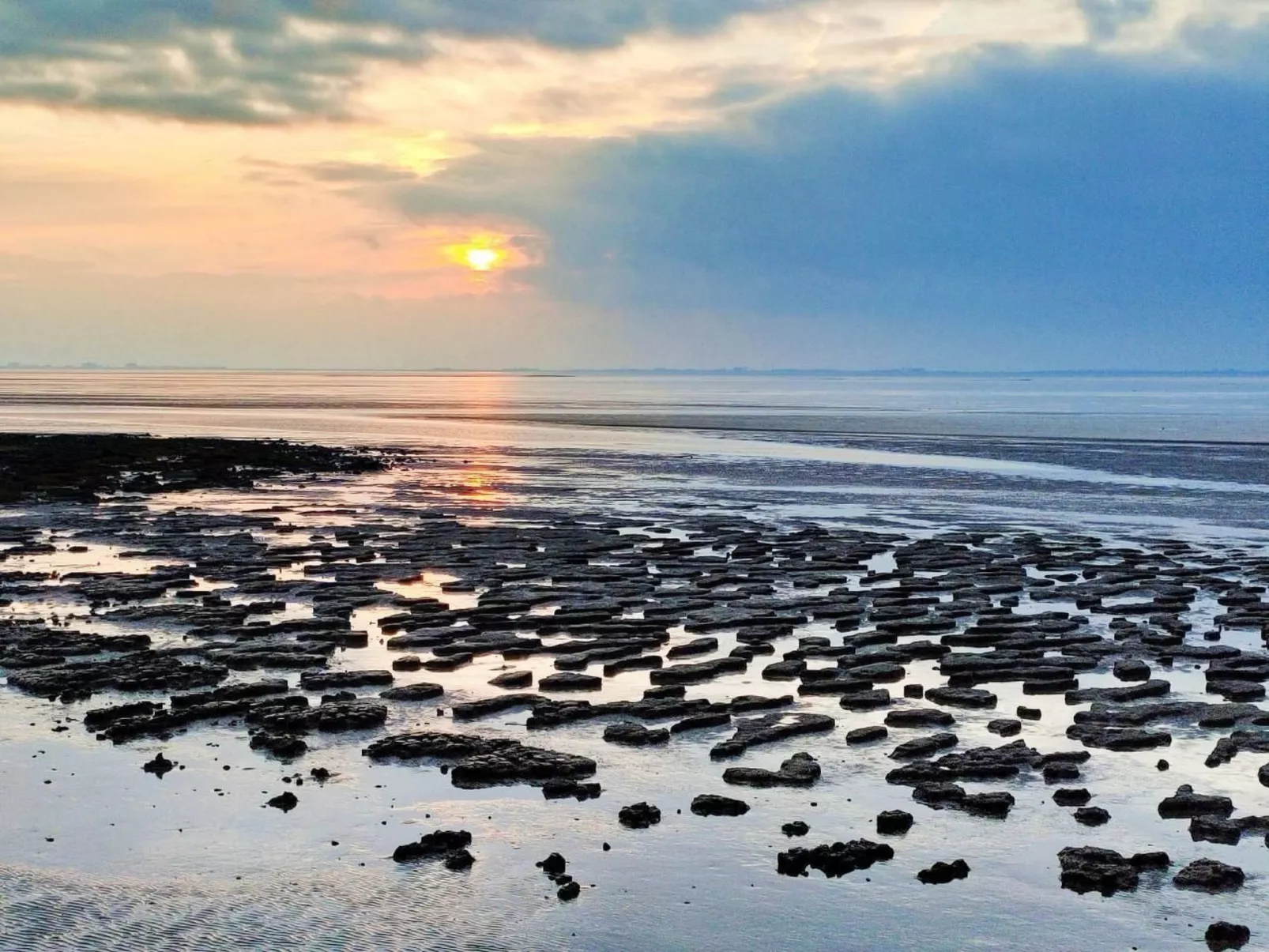 Marita-Image-tags.info