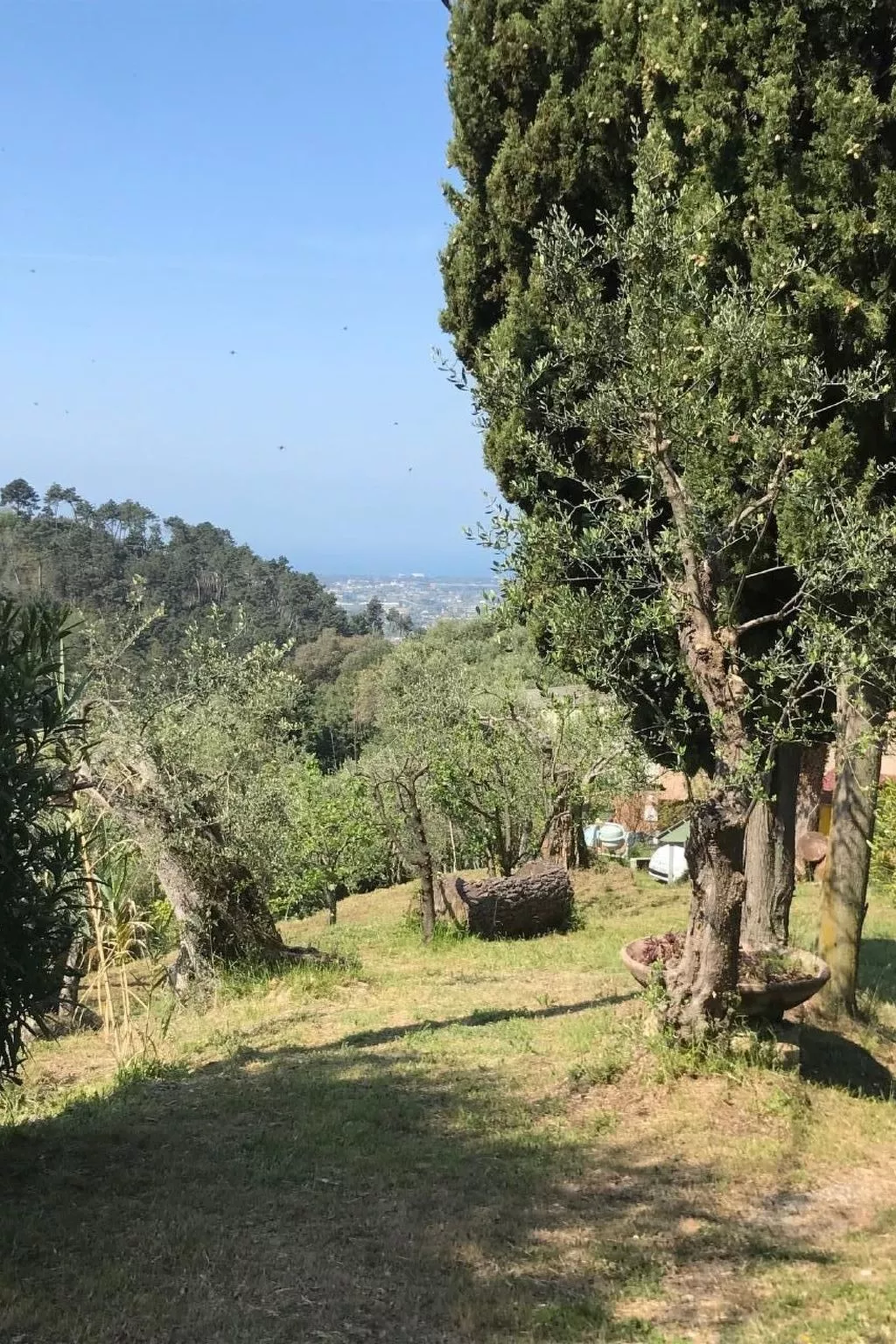 Artist's hill-Draußen