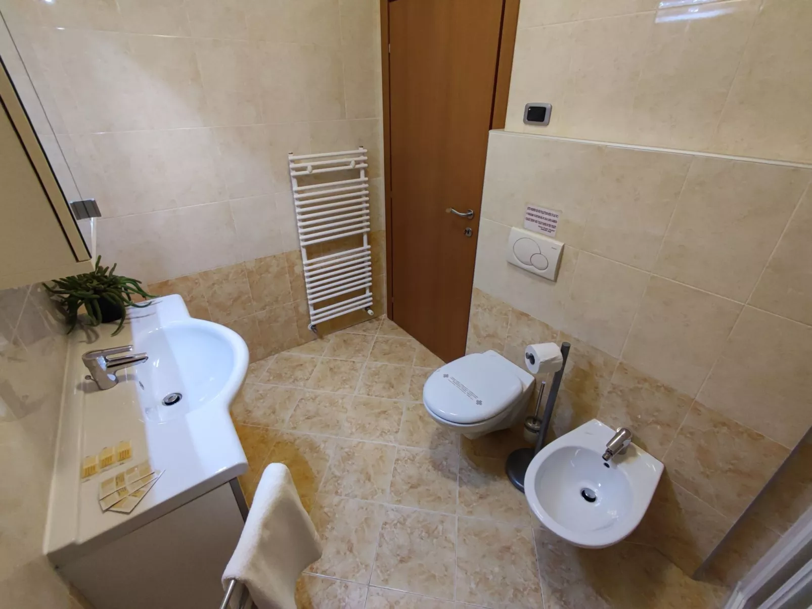 Komfort-Apartment mit Balkon BV1-Drinnen