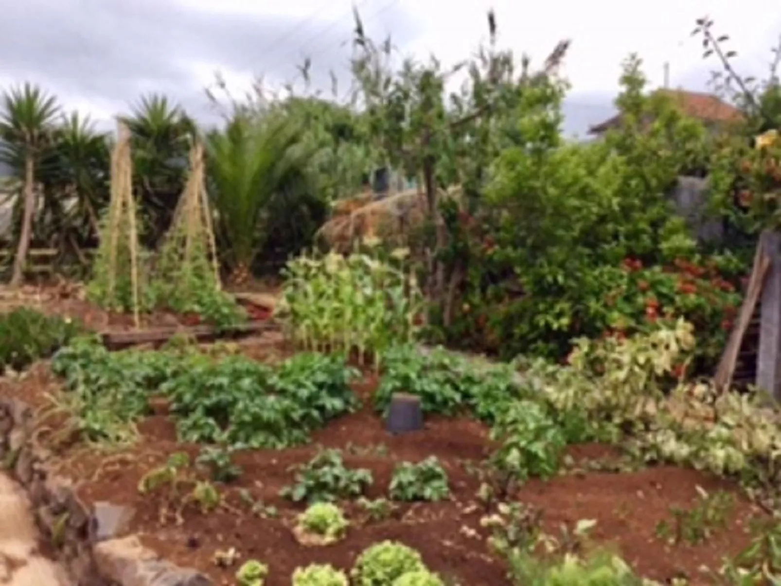 Klein-Norwegen-Image-tags.info