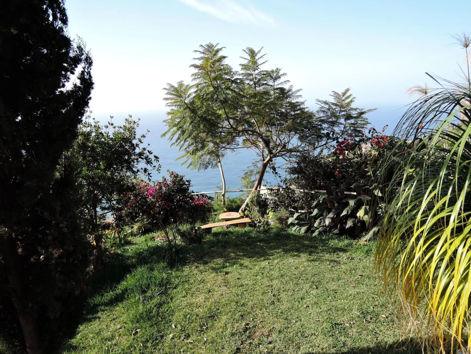 In Canhas mit Schönem Garten-Image-tags.info