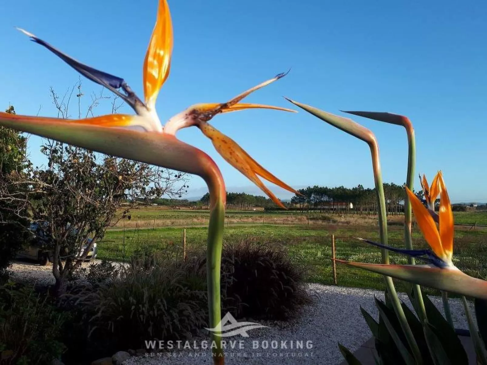 Charmantes Ferienhaus mit schöner Aussicht, 2 Schlafzimmer-Image-tags.info
