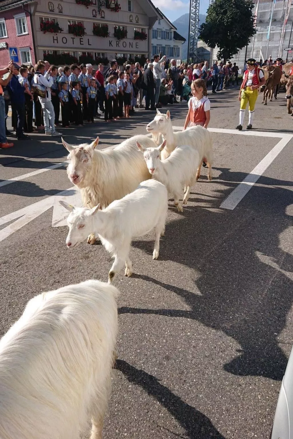 Alpen-Paradies Edelweiss Urnäsch-Dehors