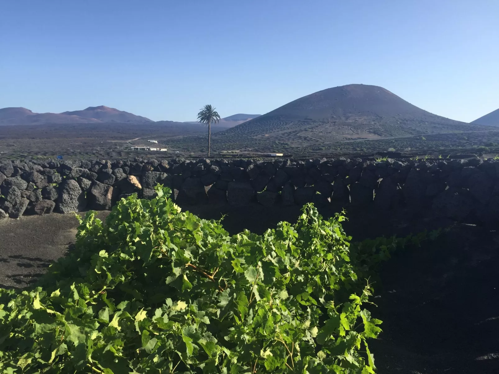 Finca mit Pool und herrlichem Meerblick-Outside