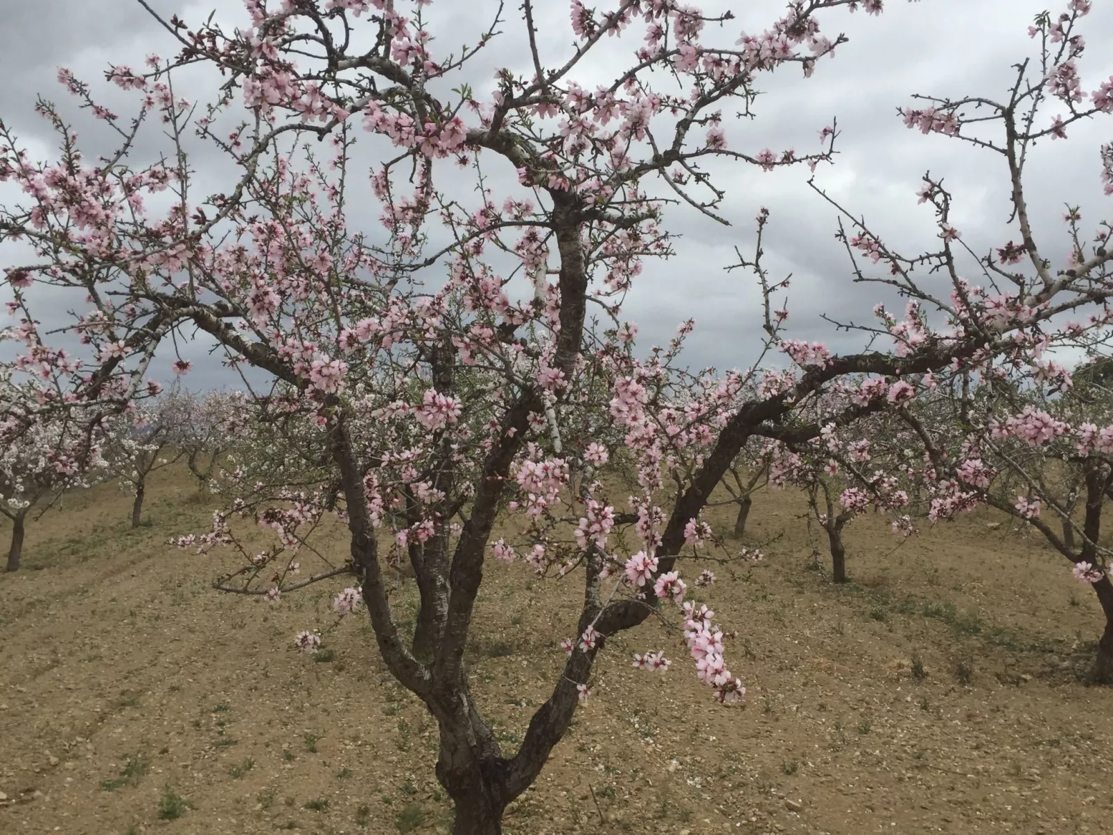 Casa Montana in Küstennähe... sehr empfehlenswert.-Drinnen