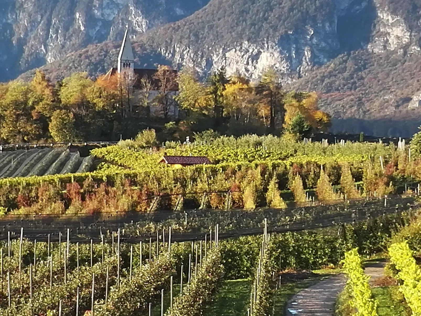 Apartment Merlot in Kurtatsch mit Panoramablick-Draußen